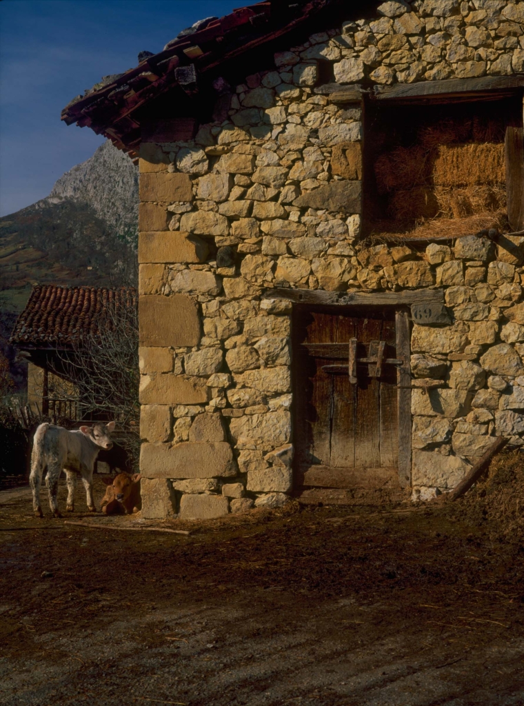 Etnografía - Cuadra en Pen - Amieva
